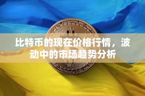 比特币的现在价格行情，波动中的市场趋势分析