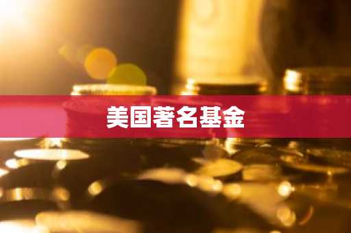 美国著名基金