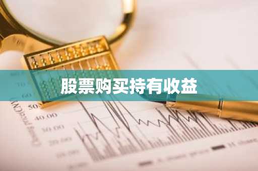 股票购买持有收益