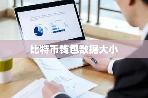 比特币钱包数据大小