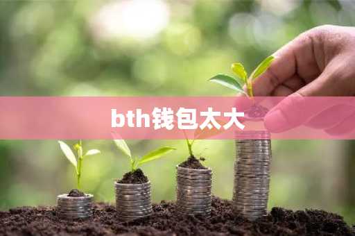 bth钱包太大