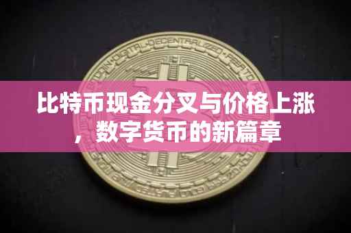 比特币现金分叉与价格上涨，数字货币的新篇章