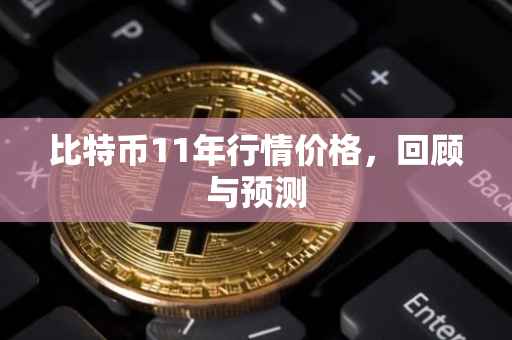 比特币11年行情价格，回顾与预测