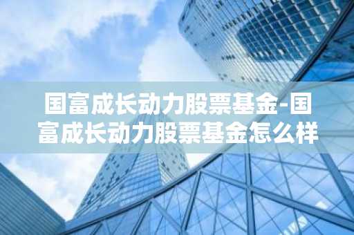 国富成长动力股票基金-国富成长动力股票基金怎么样