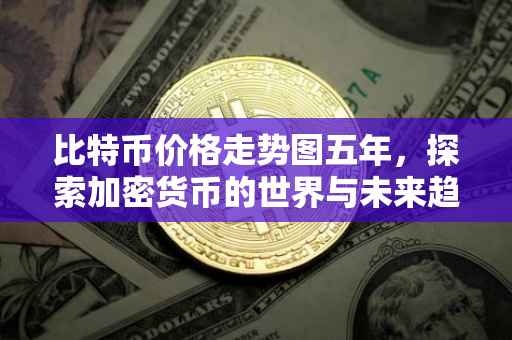 比特币价格走势图五年，探索加密货币的世界与未来趋势