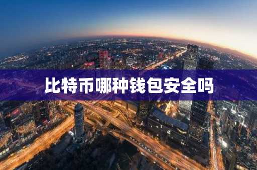 比特币哪种钱包安全吗