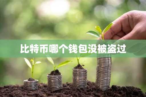 比特币哪个钱包没被盗过