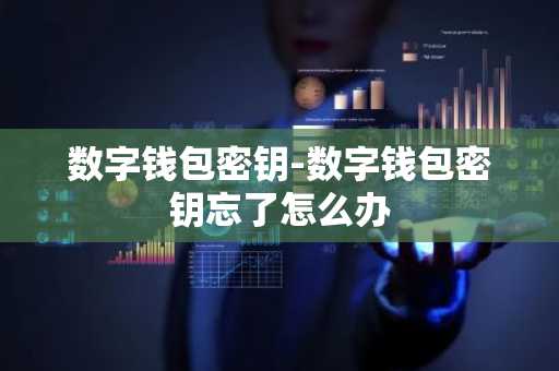 数字钱包密钥-数字钱包密钥忘了怎么办