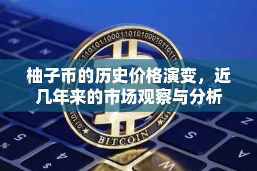 柚子币的历史价格演变，近几年来的市场观察与分析