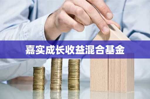 嘉实成长收益混合基金