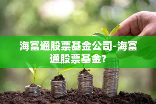 海富通股票基金公司-海富通股票基金?
