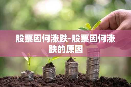 股票因何涨跌-股票因何涨跌的原因
