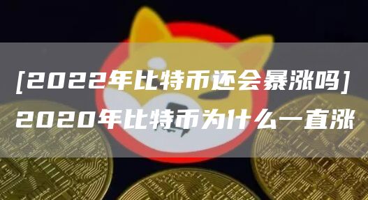 [2022年比特币还会暴涨吗]2020年比特币为什么一直涨
