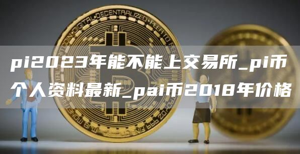 pi2023年能不能上交易所_pi币个人资料最新_pai币2018年价格