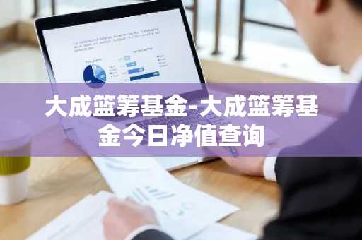 大成篮筹基金-大成篮筹基金今日净值查询