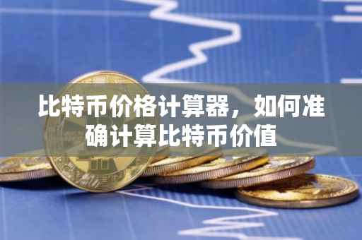 比特币价格计算器，如何准确计算比特币价值