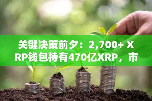 关键决策前夕：2,700  XRP钱包持有470亿XRP，市场期待ETF审批结果