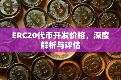 ERC20代币开发价格，深度解析与评估