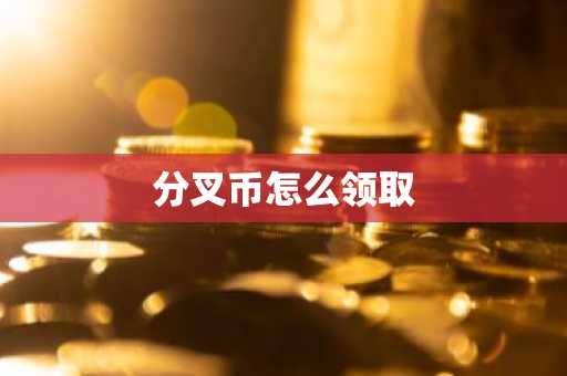 分叉币怎么领取