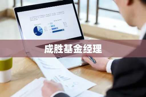 成胜基金经理