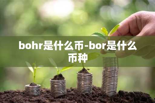 bohr是什么币-bor是什么币种