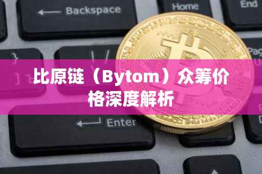 比原链（Bytom）众筹价格深度解析