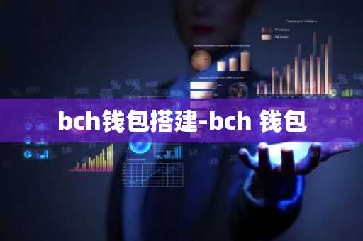 bch钱包搭建-bch 钱包