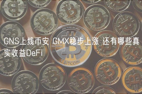 GNS上线binance GMX稳步上涨 还有哪些真实收益DeFi