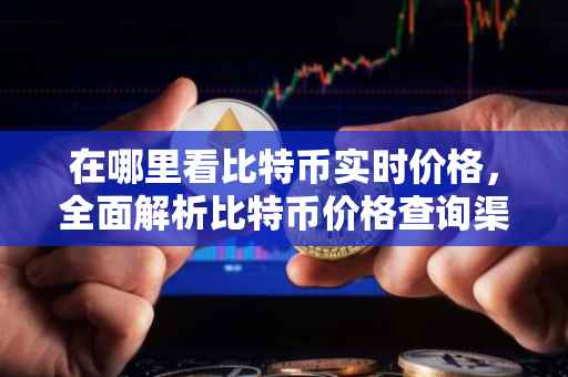 在哪里看比特币实时价格，全面解析比特币价格查询渠道
