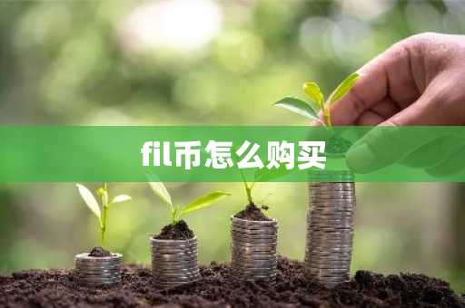 fil币怎么购买