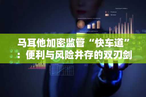 马耳他加密监管“快车道”：便利与风险并存的双刃剑