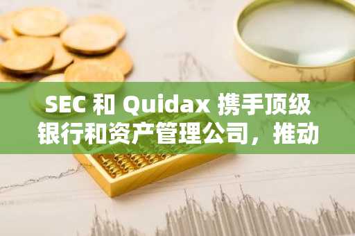 SEC 和 Quidax 携手顶级银行和资产管理公司，推动尼日利亚数字资产的普及