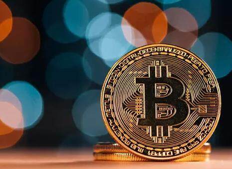虚拟币钱包app最新下载 虚拟币狗狗币钱包v3.1下载