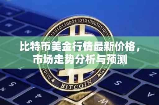 比特币美金行情最新价格，市场走势分析与预测