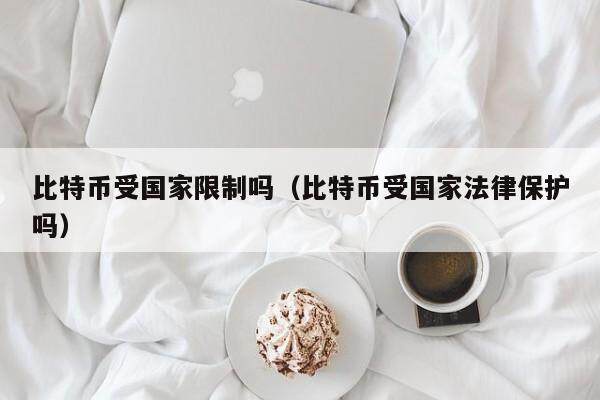 比特币受国家限制吗（比特币受国家法律保护吗）