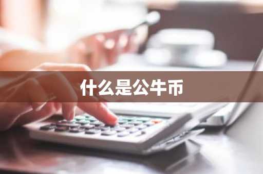 什么是公牛币