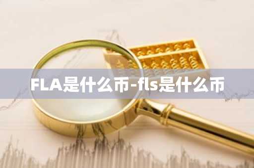 FLA是什么币-fls是什么币