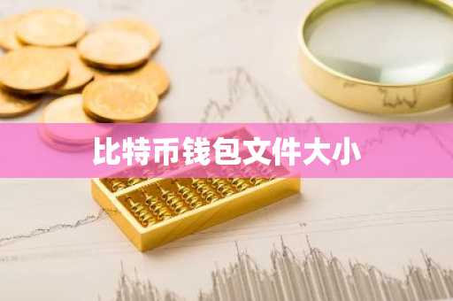 比特币钱包文件大小