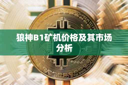 狼神B1矿机价格及其市场分析