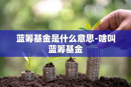 蓝筹基金是什么意思-啥叫蓝筹基金