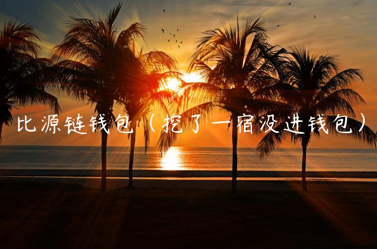 比源链钱包（挖了一宿没进钱包）