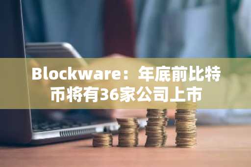Blockware：年底前比特币将有36家公司上市