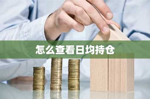 怎么查看日均持仓