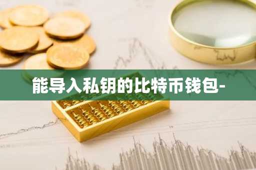 能导入私钥的比特币钱包-
