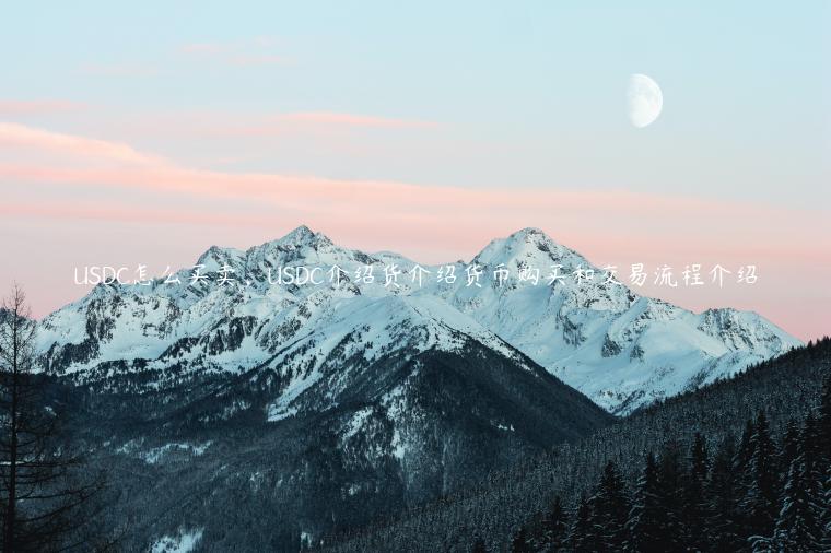 USDC怎么买卖，USDC介绍货介绍货币购买和交易流程介绍