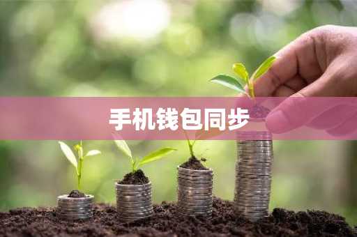 手机钱包同步