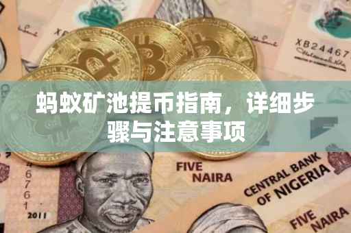 蚂蚁矿池提币指南，详细步骤与注意事项