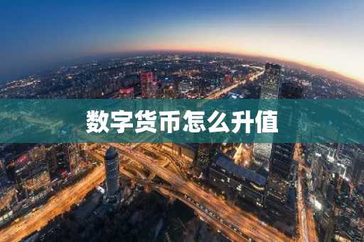 数字货币怎么升值