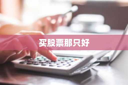 买股票那只好