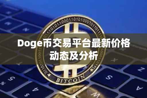 Doge币交易平台最新价格动态及分析